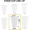 image20 Oz Disposable Foam Cups 50 Pack White Foam Insulates Hot ampamp Cold Beverages Made in the USA ToGo Cups  for Coffee Tea Hot Cocoa Soup Broth Smoothie Soda Juice20oz  White