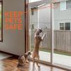 imageSliding Glass Door Lock for Home Safety  4 Pack Sliding Patio Door Locks Child Safety Slide Window Stopper Extra Strong Adhesive