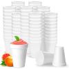 image12 Oz Disposable Foam Cups 100 Pack White Foam Insulates Hot ampamp Cold Beverages Made in the USA ToGo Cups  for Coffee Tea Hot Cocoa Soup Broth Smoothie Soda Juice12oz  White