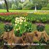 image60quot x 16 Feet Gardening Burlap Fabric Roll  Tree Wrap Weed Barrier Erosion Control Aisle Runner Multipurpose Natural Fabric High Density Jute Fiber MaterialBeige
